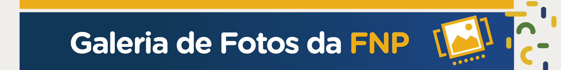 Galeria de fotos da FNP