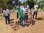 Contagem (MG) - Cidade mineira “desafia” moradores a plantarem árvores
