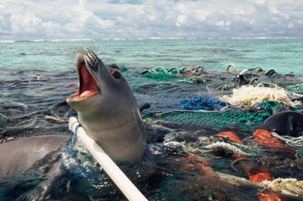 Abrelpe lança chamada pública para projeto de prevenção e combate ao lixo no mar