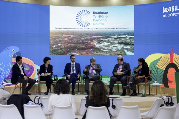 Painel &quot;Rumo à COP30 e a uma Economia de Baixo Carbono&quot;