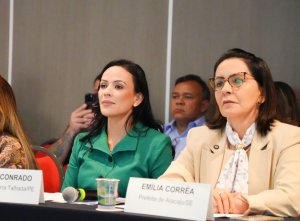 Prefeitas da FNP se reúnem em Curitiba para debater enfrentamento ao feminicídio