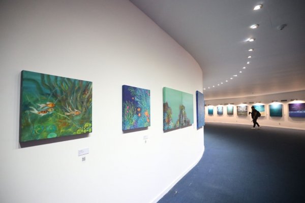 Niterói recebe exposição gratuita sobre preservação do oceano